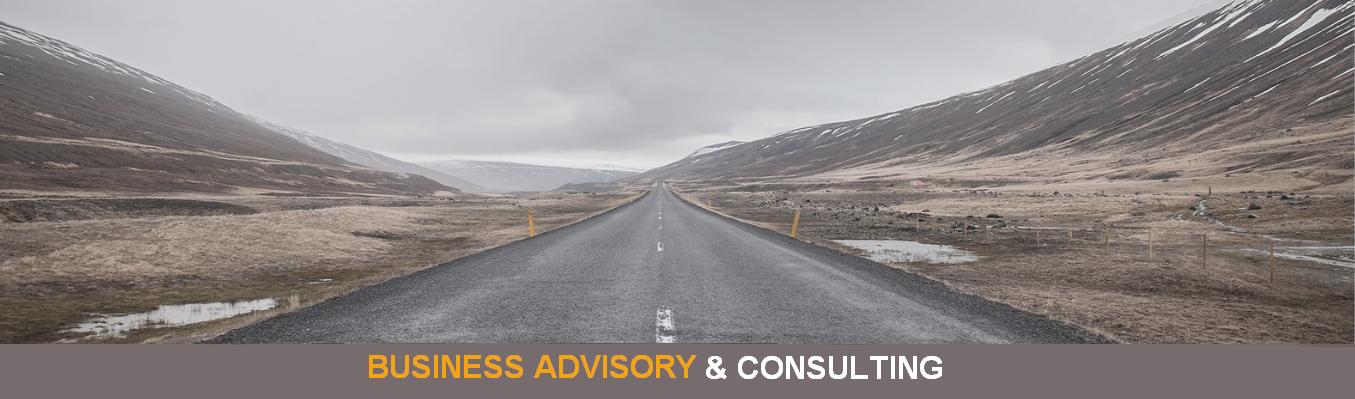 Business Advisory Services